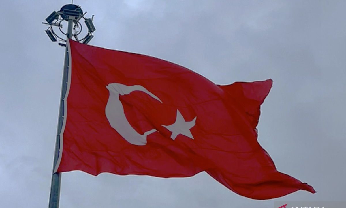 Ribuan warga di Turkiye utara alami mual, diare, penyebab diselidiki