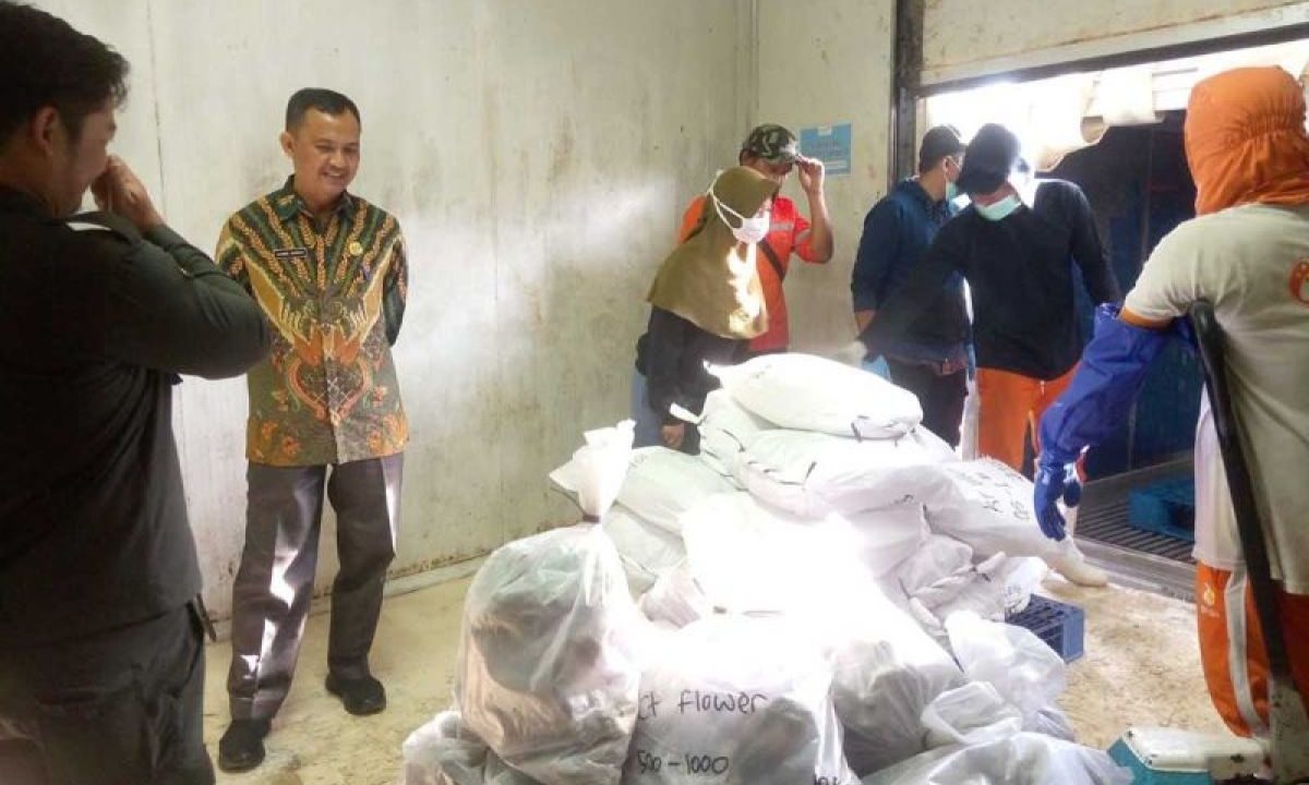 DKP: Enam ton ikan segar dari Pulau Simeulue diekspor ke Jepang