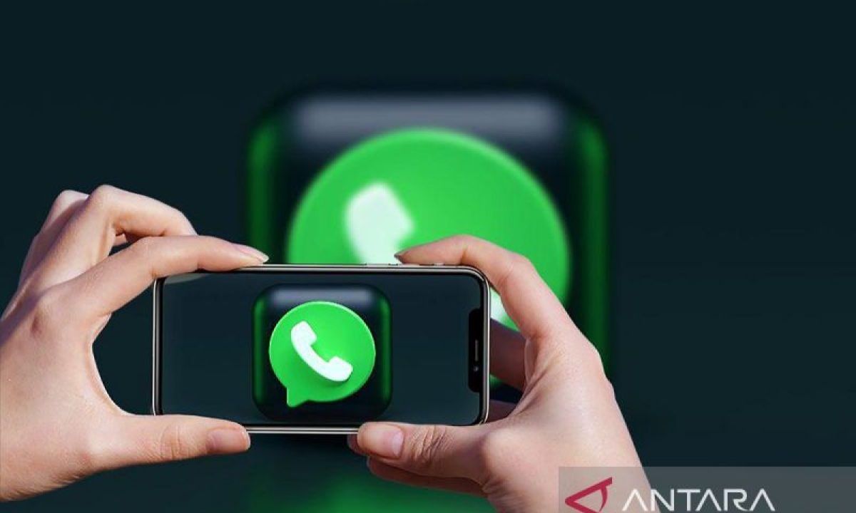 WhatsApp hentikan dukungan Android 5.0 dan 5.1, ini ponsel terdampak