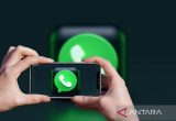WhatsApp hentikan dukungan Android 5.0 dan 5.1, ini ponsel terdampak