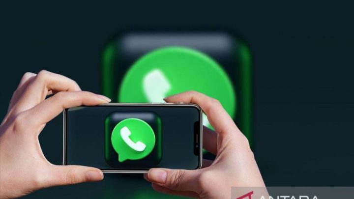 WhatsApp hentikan dukungan Android 5.0 dan 5.1, ini ponsel terdampak