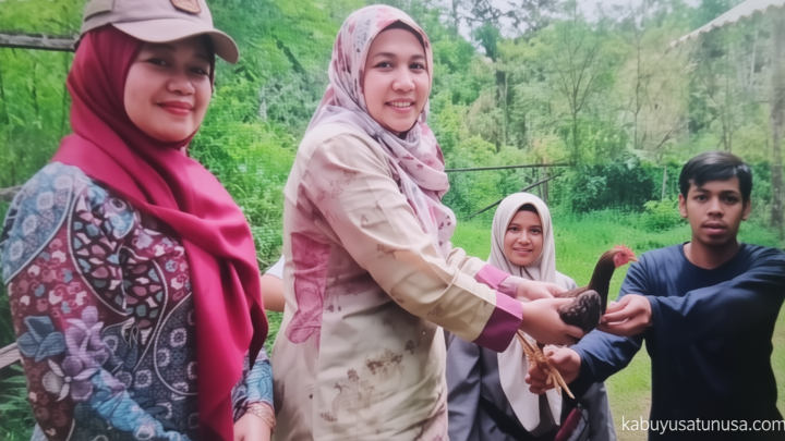 Latest Program: Pemkab Agam Perkuat Ketahanan Pangan dengan Distribusi Ratusan Ayam ke Kelompok Tani