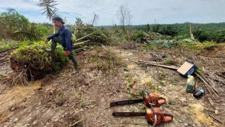 Key Discussion: Agrinas Palma Dapat Tugas Buka 400.000 Hektare Lahan Sawit Baru