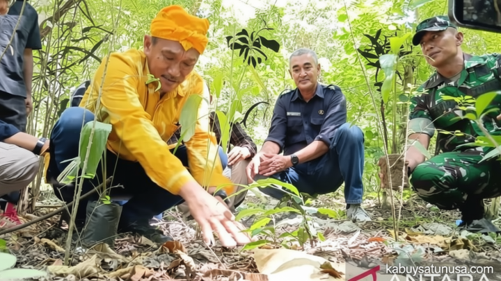 New Policy: Pemkab Sigi Ajak Lintas Sektor Bersatu Jaga Hutan Ranjuri Sigi yang Berusia Ratusan Tahun
