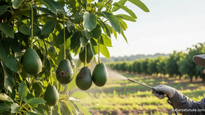 Key Issue: 6 Pohon Buah yang Tahan terhadap Kutu Putih, Cocok untuk Pekarangan Rumah