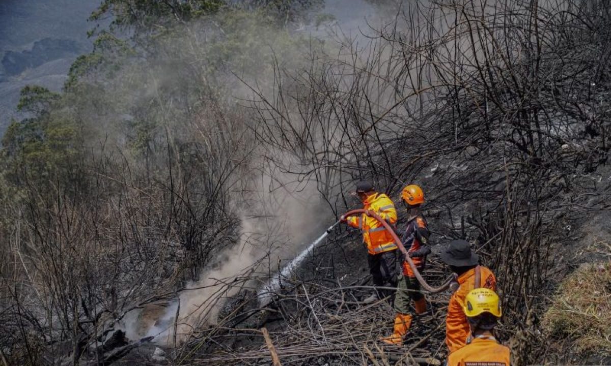 TNBTS sebut titik asap di Bromo berhasil dilokalisasi petugas gabungan