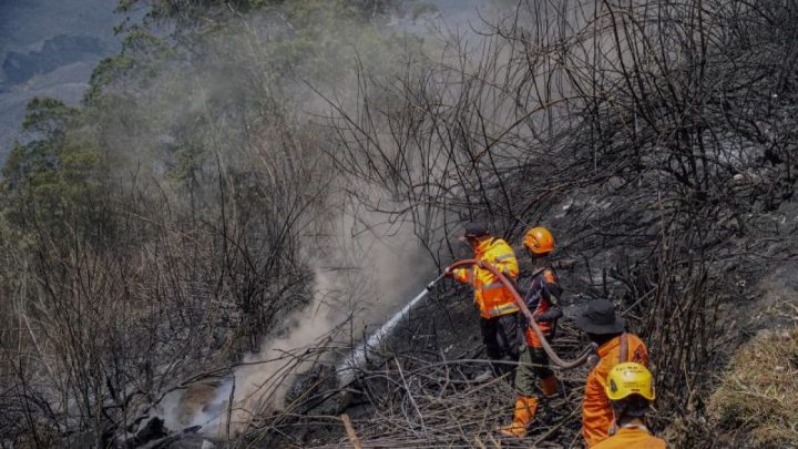 TNBTS sebut titik asap di Bromo berhasil dilokalisasi petugas gabungan