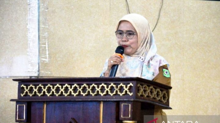 Wali Kota Ichinoseki Jepang dijadwalkan kunjungan ke Bima, NTB