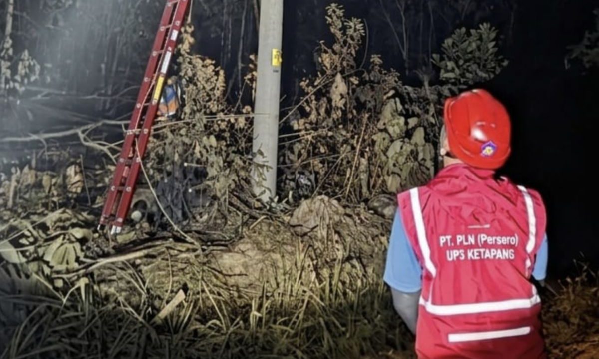 PLN Ketapang gerak cepat pulihkan jaringan listrik terdampak karhutla