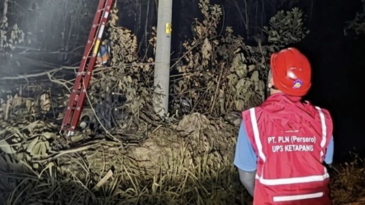 PLN Ketapang gerak cepat pulihkan jaringan listrik terdampak karhutla