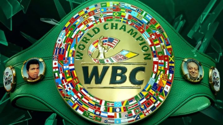 Juara WBC Ryan Garcia dan Conor Benn lolos ujian berat badan