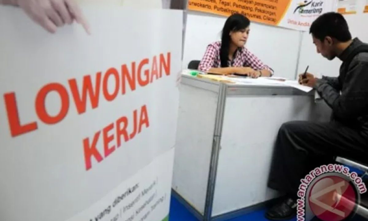 Polisi dalami kasus penipuan bermodus lowongan kerja di Jakut