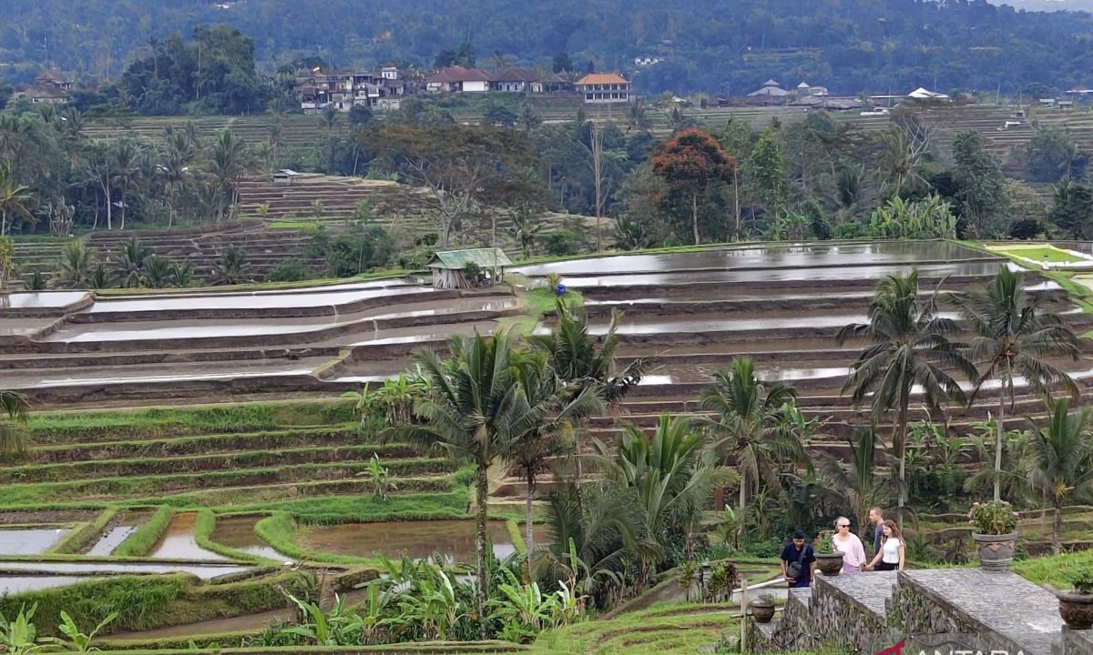 Perluasan basis pajak dongkrak pemasukan di Bali tembus Rp11,2 triliun