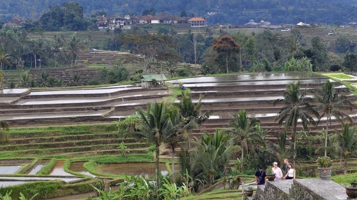 Perluasan basis pajak dongkrak pemasukan di Bali tembus Rp11,2 triliun