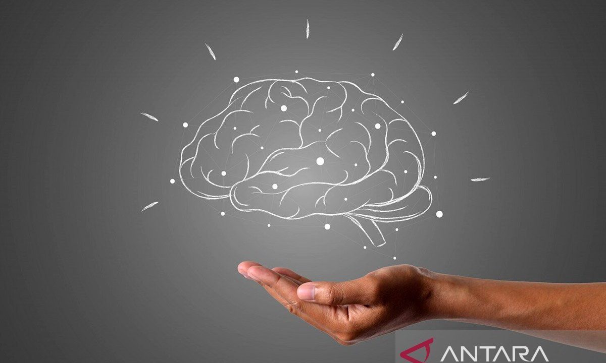 Studi: Semakin banyak bahasa dikuasai, penuaan otak cenderung melambat