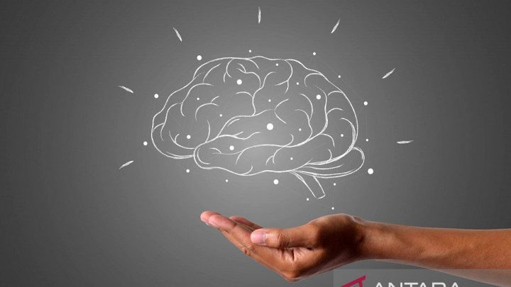 Studi: Semakin banyak bahasa dikuasai, penuaan otak cenderung melambat