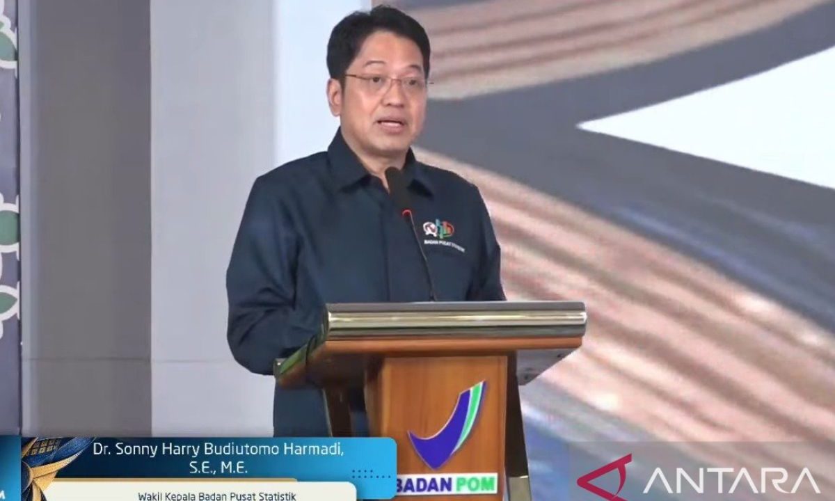 BPS: Pengobatan mandiri turun jadi 78,43 persen pada 2025