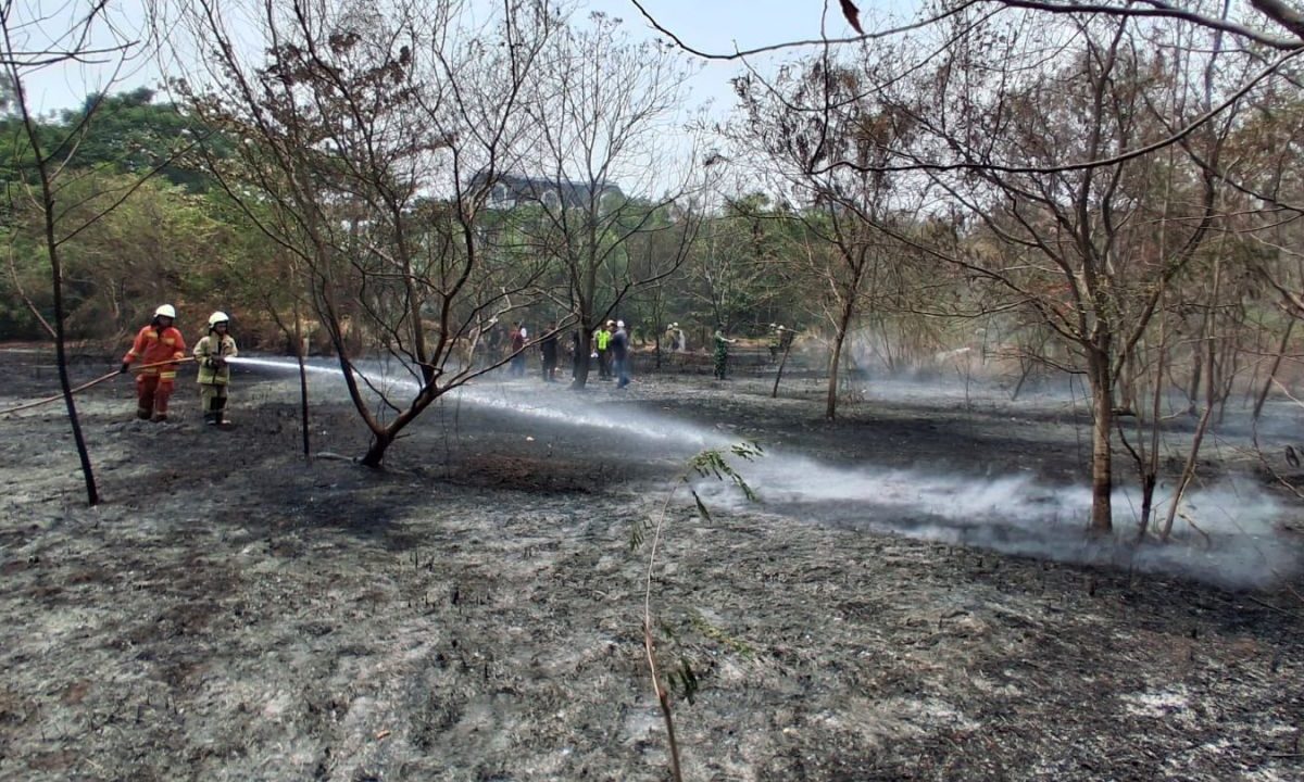 Gulkarmat: Cuaca panas picu kebakaran lahan di Jakarta Utara