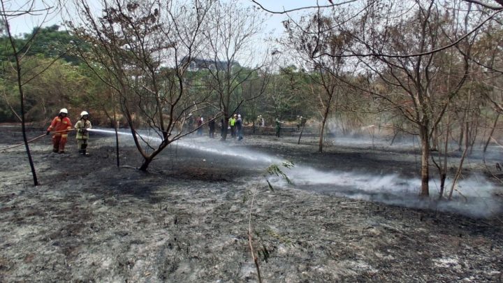 Gulkarmat: Cuaca panas picu kebakaran lahan di Jakarta Utara