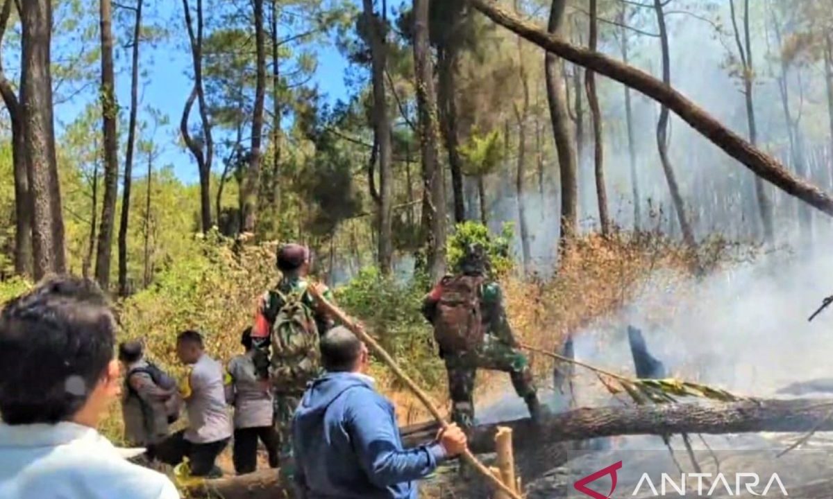 Petugas gabungan berupaya padamkan karhutla di lereng Lawu Magetan