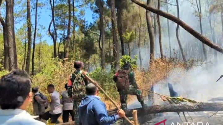 Petugas gabungan berupaya padamkan karhutla di lereng Lawu Magetan