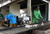 PT JIEP perkuat pemilahan dan pengolahan sampah di kawasan industri