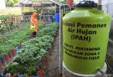 Benarkah air hujan lebih baik untuk tanaman? Ini faktanya